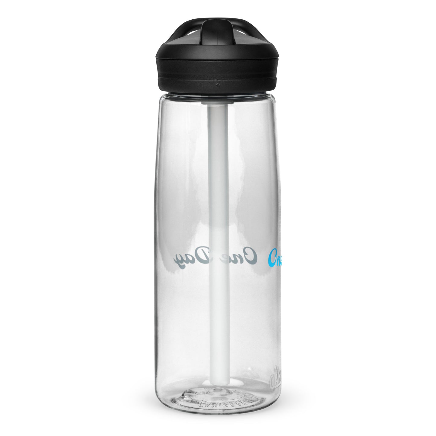 Sports water bottle