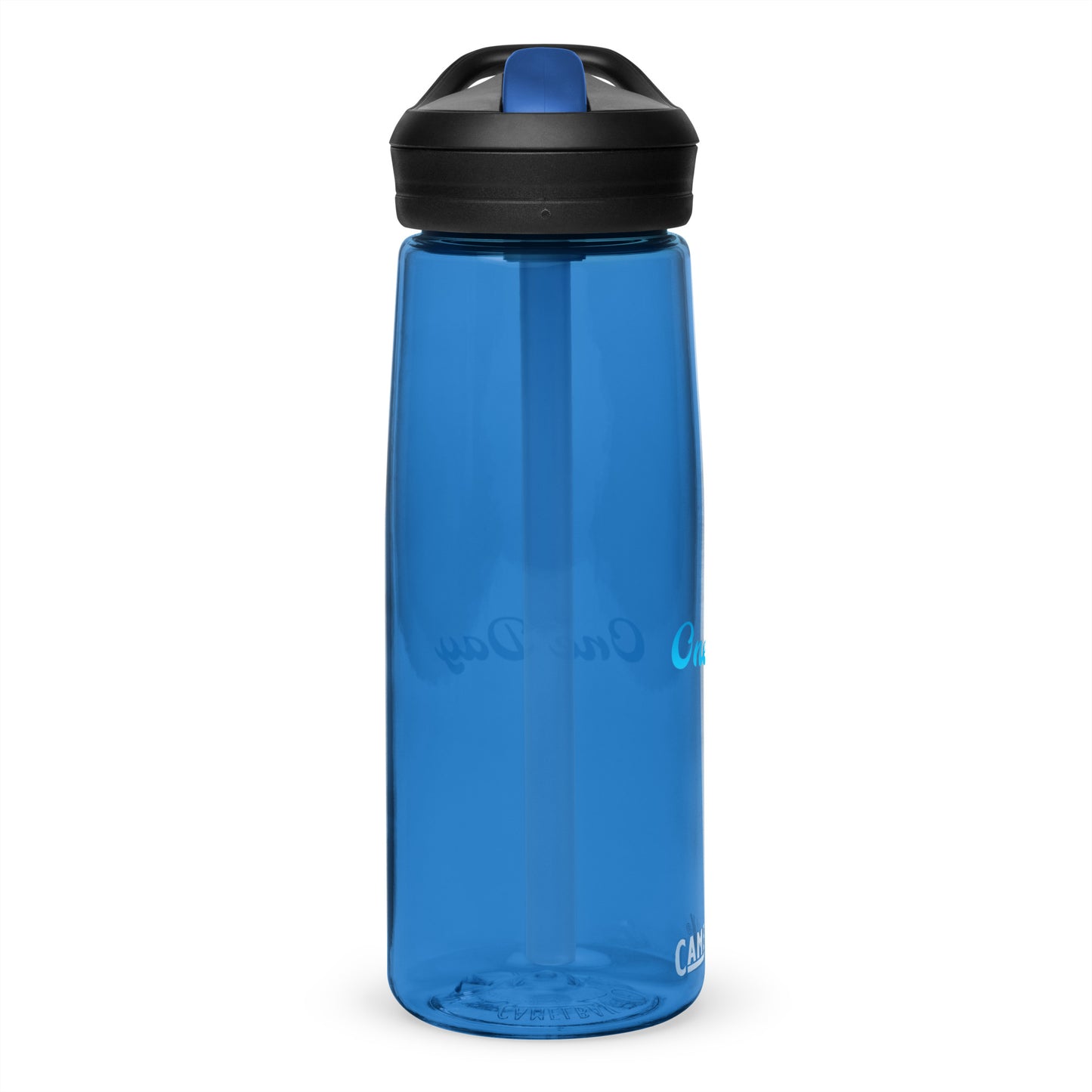 Sports water bottle